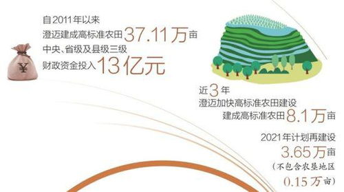 不再春怕旱秋怕澇 澄邁高標(biāo)準(zhǔn)農(nóng)田建設(shè)助力農(nóng)業(yè)提質(zhì)增效