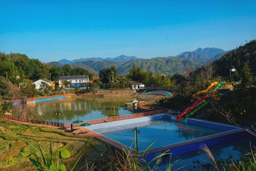 蒼南小鎮(zhèn) 農(nóng)業(yè)托管服務(wù)孵出50億產(chǎn)業(yè)鏈