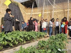 品味山東2018全國融媒體曲阜行 百譽(yù)農(nóng)業(yè)、金秋菊展與孔府家酒