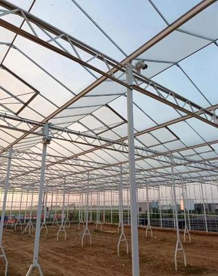 建筑百科 | 農(nóng)業(yè)項目密度 生產(chǎn)大棚是否屬于建筑工程？農(nóng)業(yè)企業(yè)托管服務(wù)解析