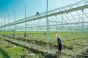 解讀農(nóng)業(yè)農(nóng)村部政策 前瞻布局，夯實根基——做好農(nóng)業(yè)農(nóng)村基礎(chǔ)設(shè)施重大項目謀劃儲備