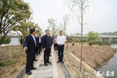 王祺揚強調 推進農文旅深度融合，以農業托管服務打造鄉村振興新引擎