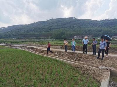 來賓市農業農村局聯合財政局開展2021年高標準農田建設及耕地地力保護督導工作，助力農業企業托管服務發展