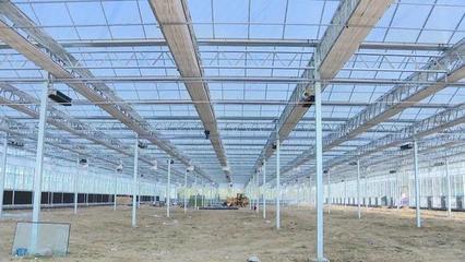 濰城 強化服務保障，農業企業托管服務推動重點項目建設再提速