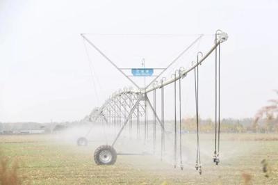 安徽省啟動Ⅲ級抗旱應急響應 農業企業托管服務助力抗旱保收